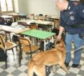 Scuole sicure