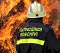 Incendi boschivi